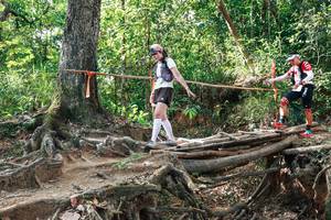 BIB: 
                            <button type="button" onclick="openModal(27558389)" class="btn btn-primary btn-sm float-right btn-popup" data-toggle="modal" data-target=".modal-high-quality">
                        <i class="fas fa-shopping-cart"></i> Add to Cart
                    </button>
                                            <button type="button" onclick="isThisMe(27558389, true)" class="btn btn-success btn-sm float-right btn-popup btn-isme hidden" data-toggle="tooltip" data-placement="bottom" title="นี่คือรูปของคุณใช่ไหม คลิกที่นี่เพื่อเอาเข้าอัลบั้ม">
                        <i class="fas fa-plus"></i> Add to album
                    </button>
                    <button type="button" onclick="isThisMe(27558389, false)" class="btn btn-warning btn-sm float-right btn-popup btn-isnotme hidden">
                        <i class="fas fa-ban"></i> Remove from album
                    </button>